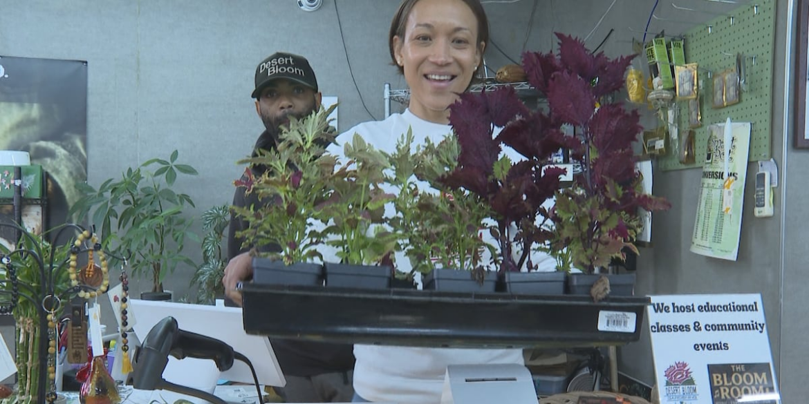 Desert Bloom Gardening & Hydroponics serving Grand Valley community