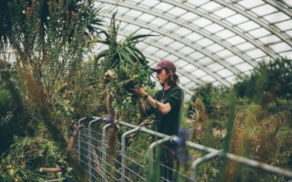 Botanic Garden celebrates ten years of growing horticulture talent