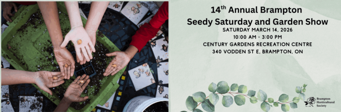 Ready, set, grow! City of Brampton’s Seedy Saturday and Garden Show blooms for its 14th year Ready, set, grow! City of Brampton’s Seedy Saturday and Garden Show blooms for its 14th year