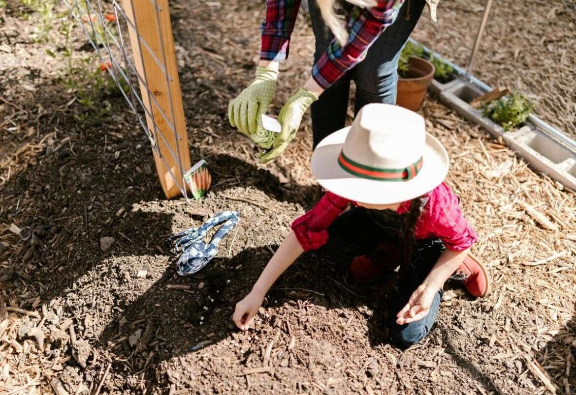 Grow Nairn volunteers set to share plans to create community market garden at Nairn Common Good-owned Sandown Lands at public events Grow Nairn volunteers set to share plans to create community market garden at Nairn Common Good-owned Sandown Lands at public events