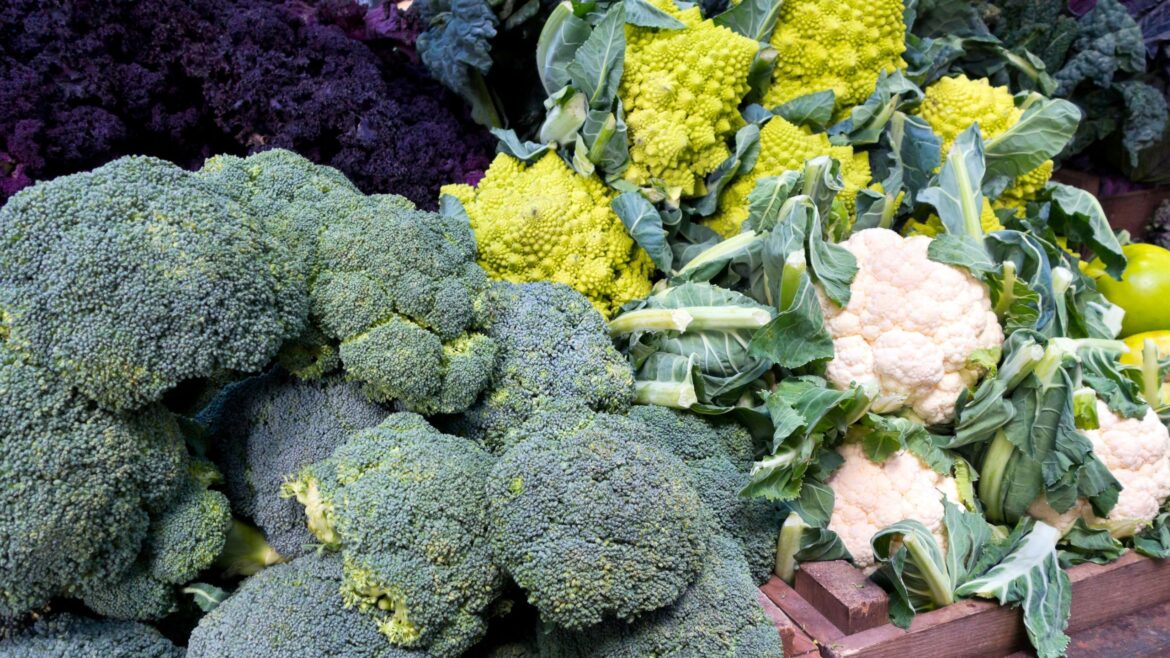 6 brassicas to sow indoors in February – kale, broccoli and more