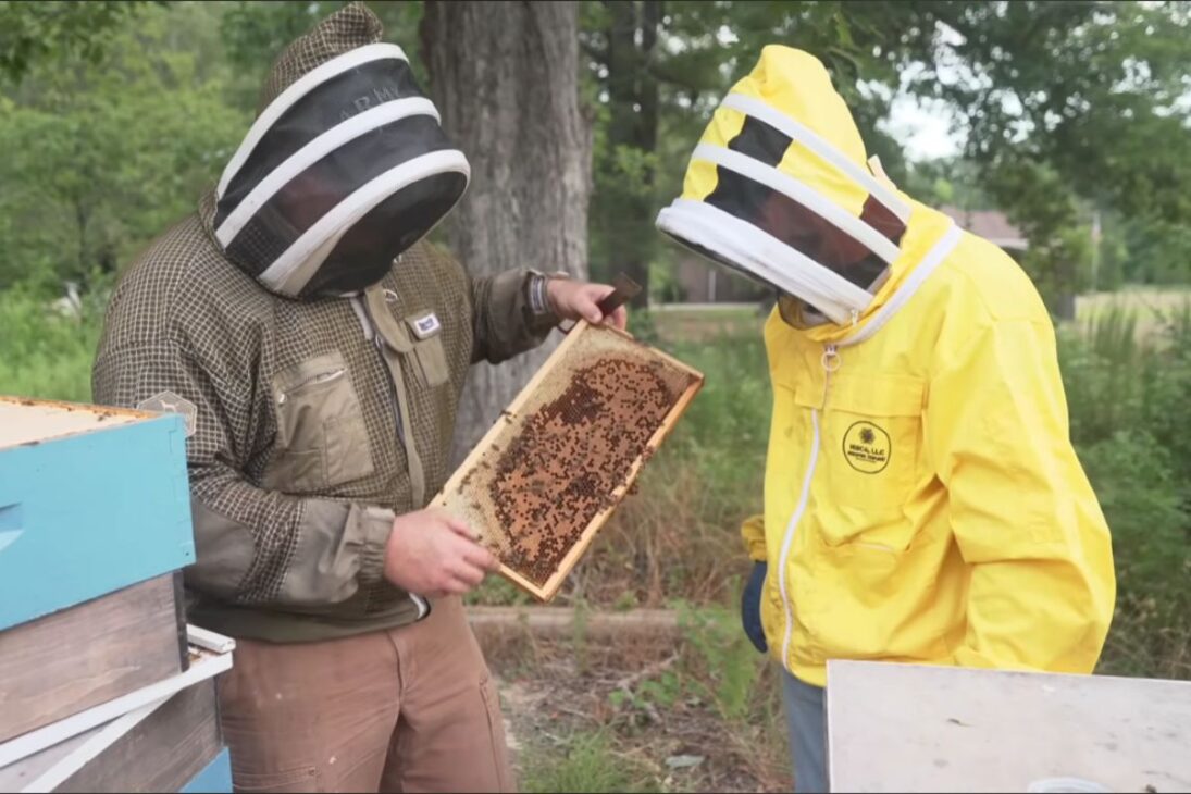 Honey on a large scale: beekeeping by a former soldier details beehives, marketing, and supermarket entry, including margins, costs, and risk management.