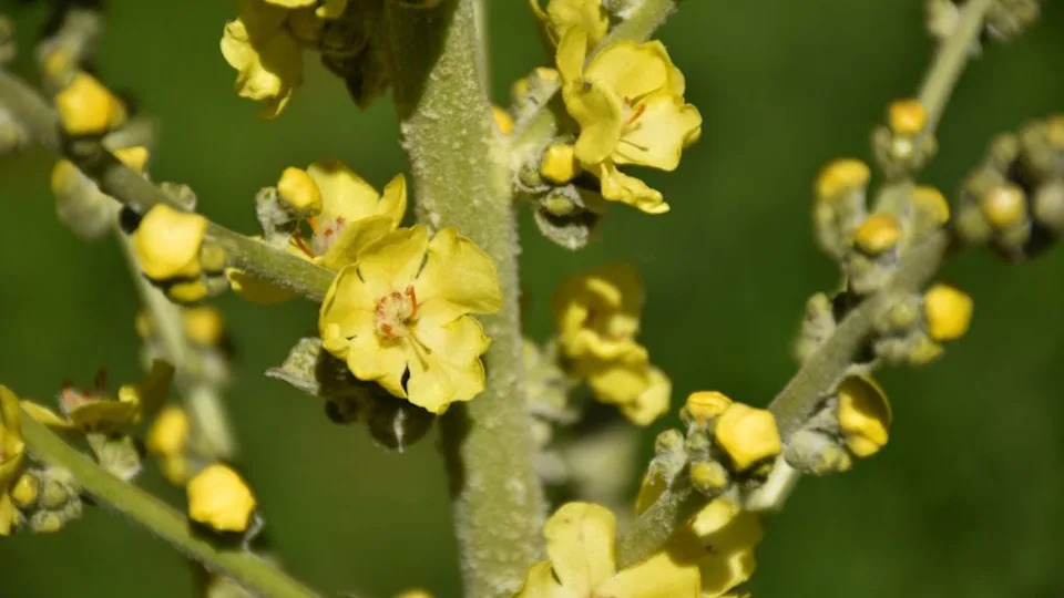 Image Credit: Deposit Photos