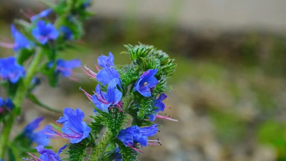 Image Credit: Deposit Photos