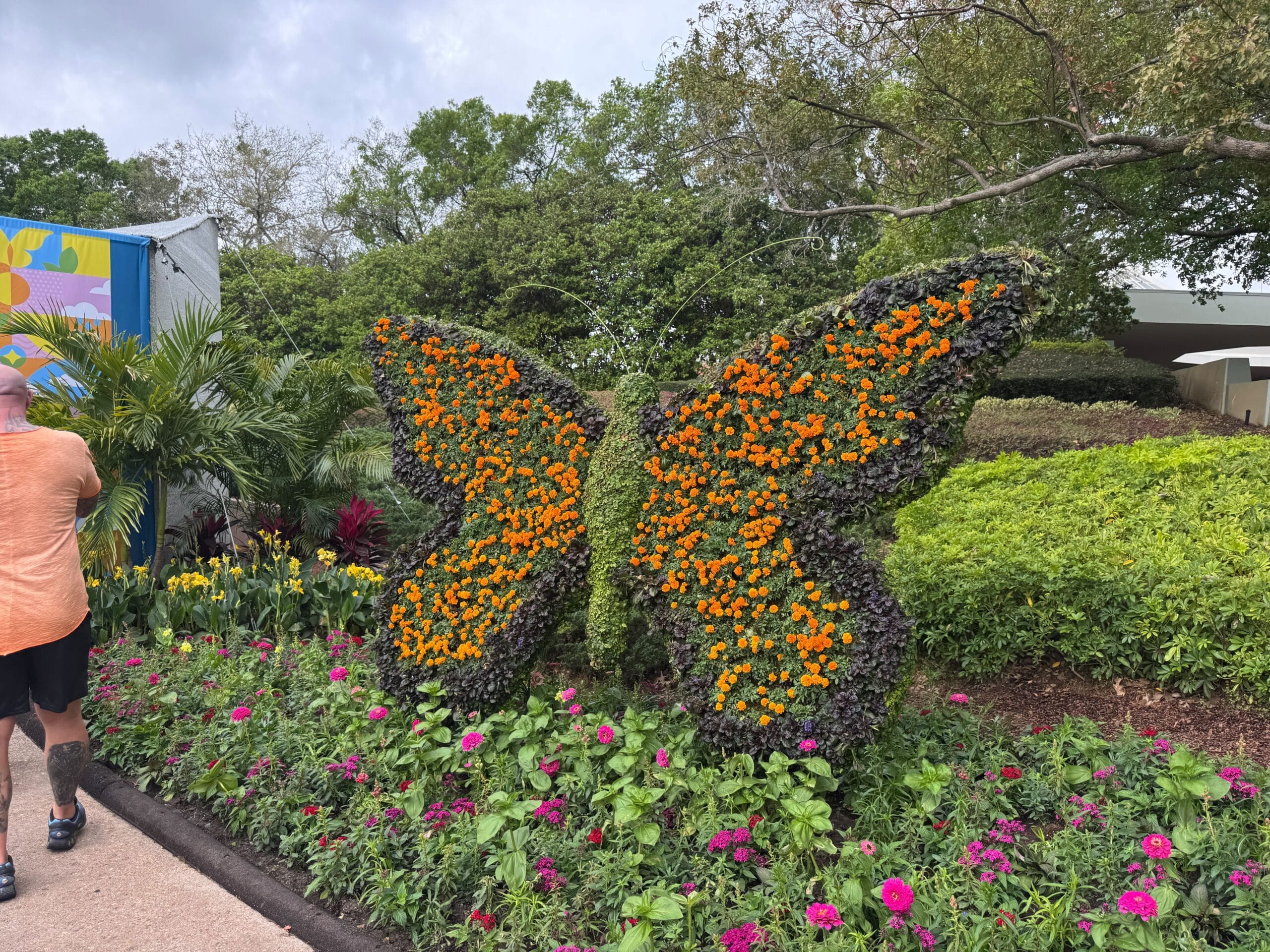 A large butterfly-shaped topiary adorned with orange and yellow flowers takes center stage at the Flower & Garden Festival, creating an enchanting display in this premier garden destination.