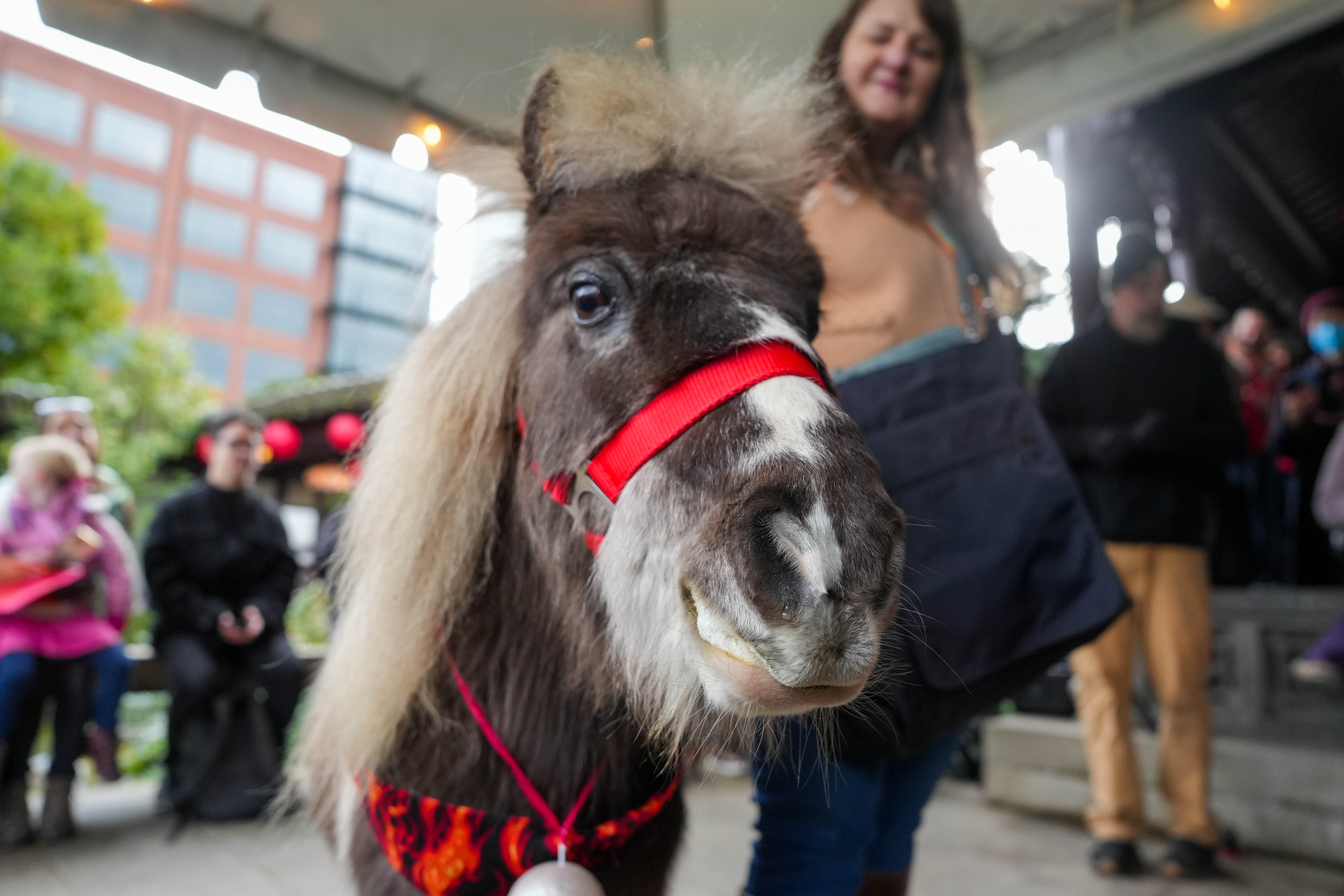 Portland’s Lan Su Chinese Garden celebrates the Lunar New Year on Tuesday, February 17, 2026.