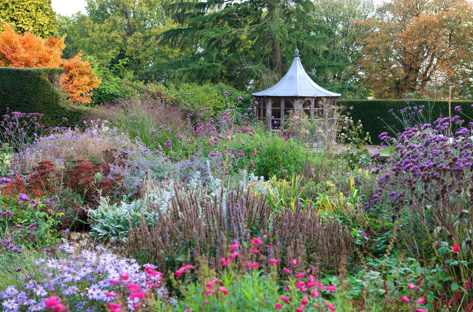 Image may contain Garden Nature Outdoors Plant Vegetation Grass Flower and Park