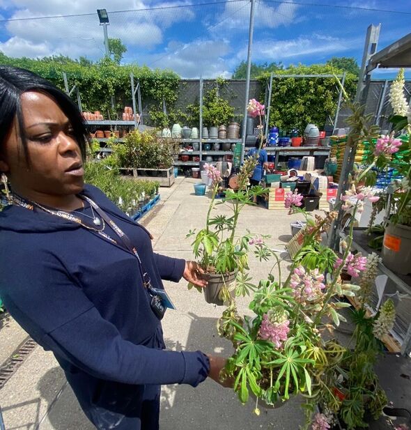 Melanie checks plants during a visit to a garden centre Melanie checks plants during a visit to a garden centre