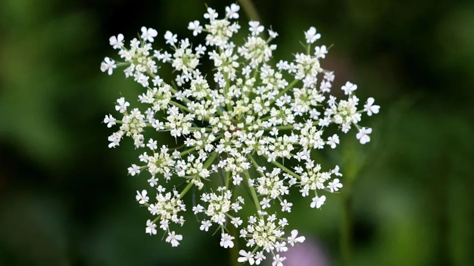 Image Credit: Deposit Photos