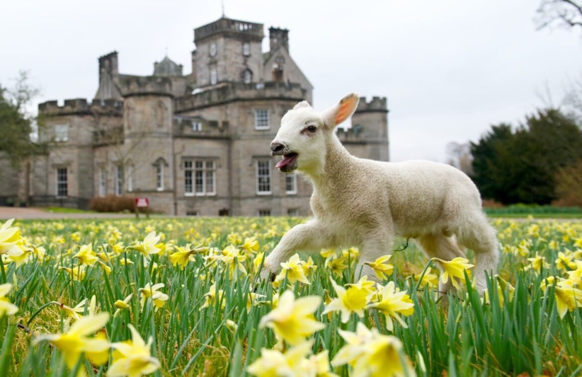 Explore Winton’s Gardens and Support East Lothian Foodbank Explore Winton’s Gardens and Support East Lothian Foodbank
