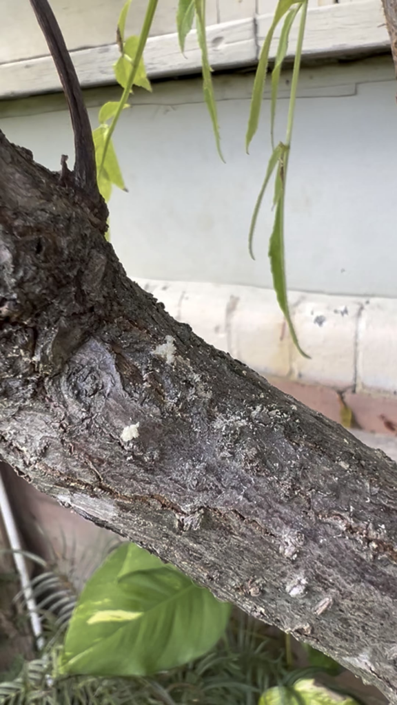 WTH is going on here?