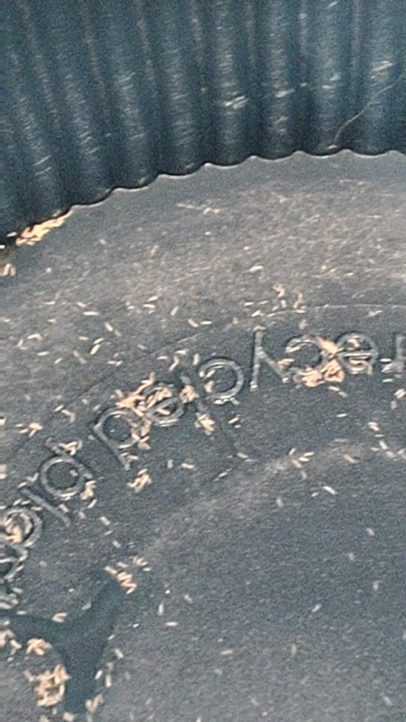 An unpleasant suprise…🤢 An unpleasant suprise...🤢