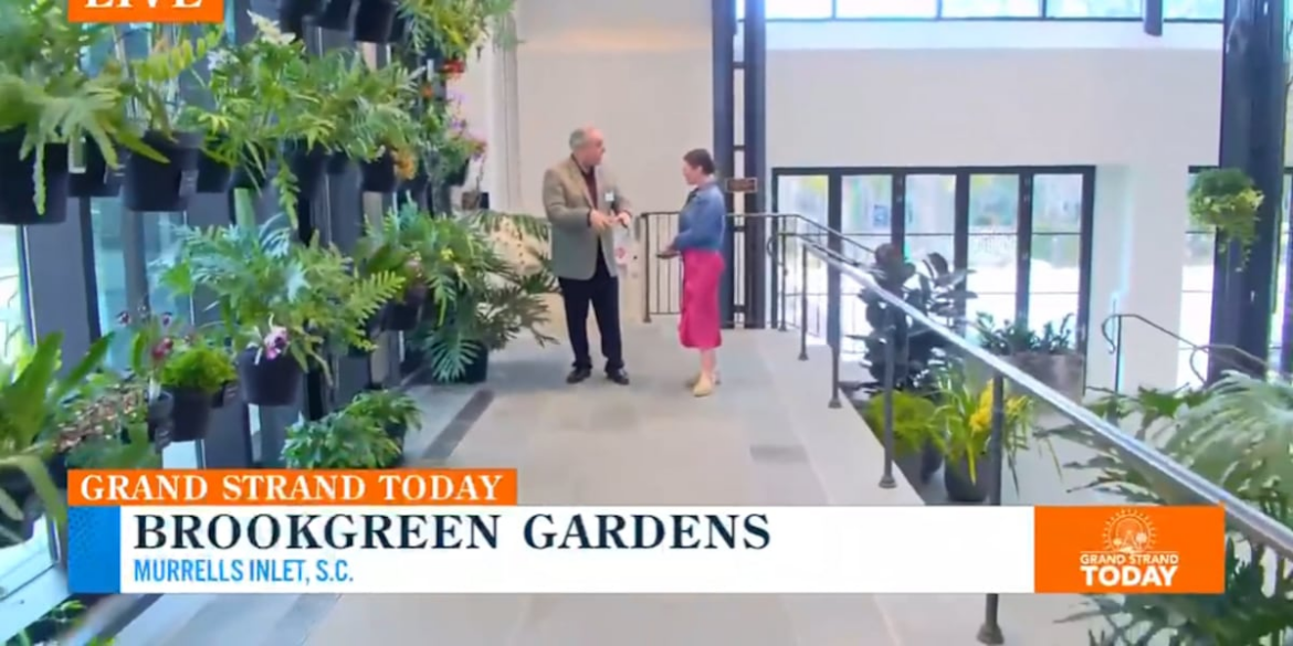 Brookgreen Gardens’ Purdy Center now open