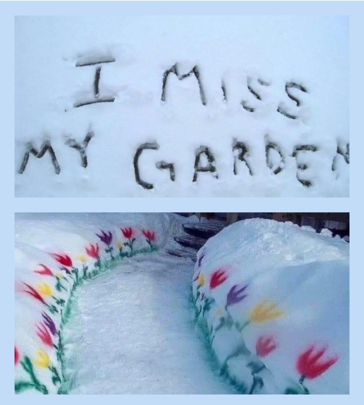 Zone 6B Massachusetts