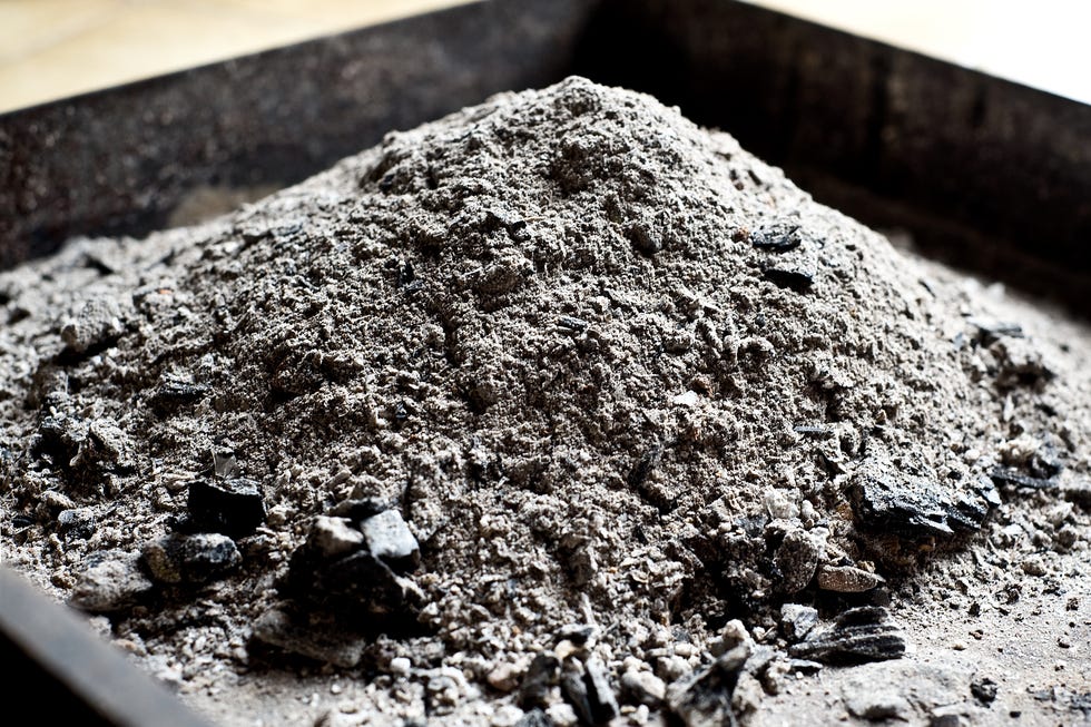 should you put wood ash on your garden