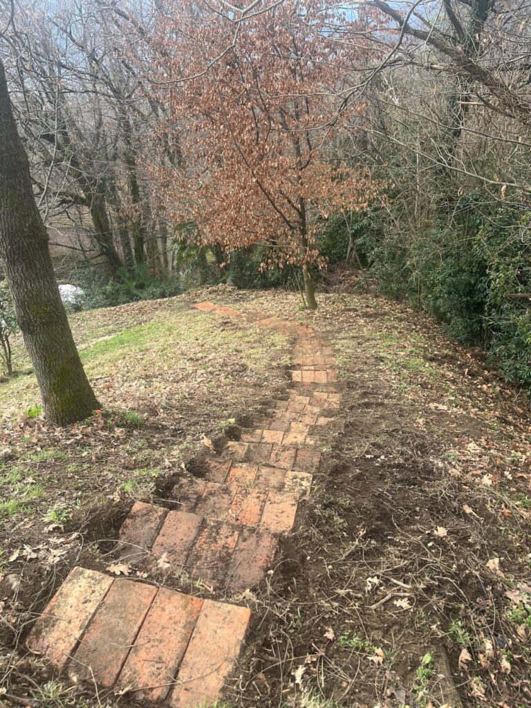 Diy steps - advice needed