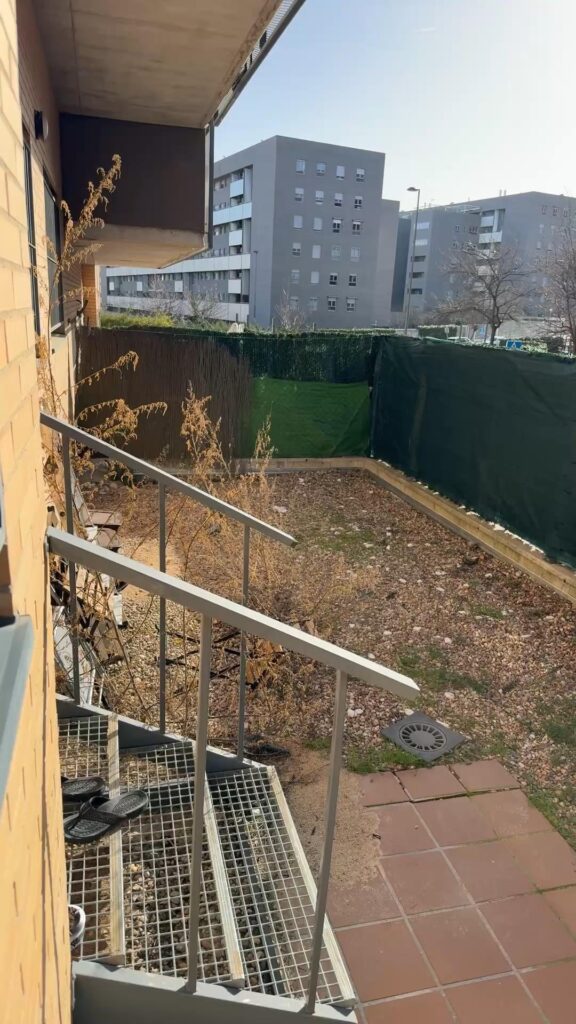 What would you do with this garden? What would you do with this garden?