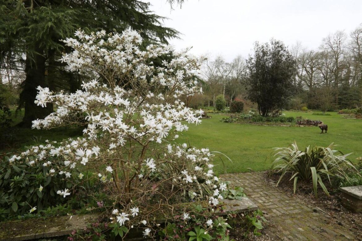 Award-winning Essex garden reveals programme of workshops for 2026