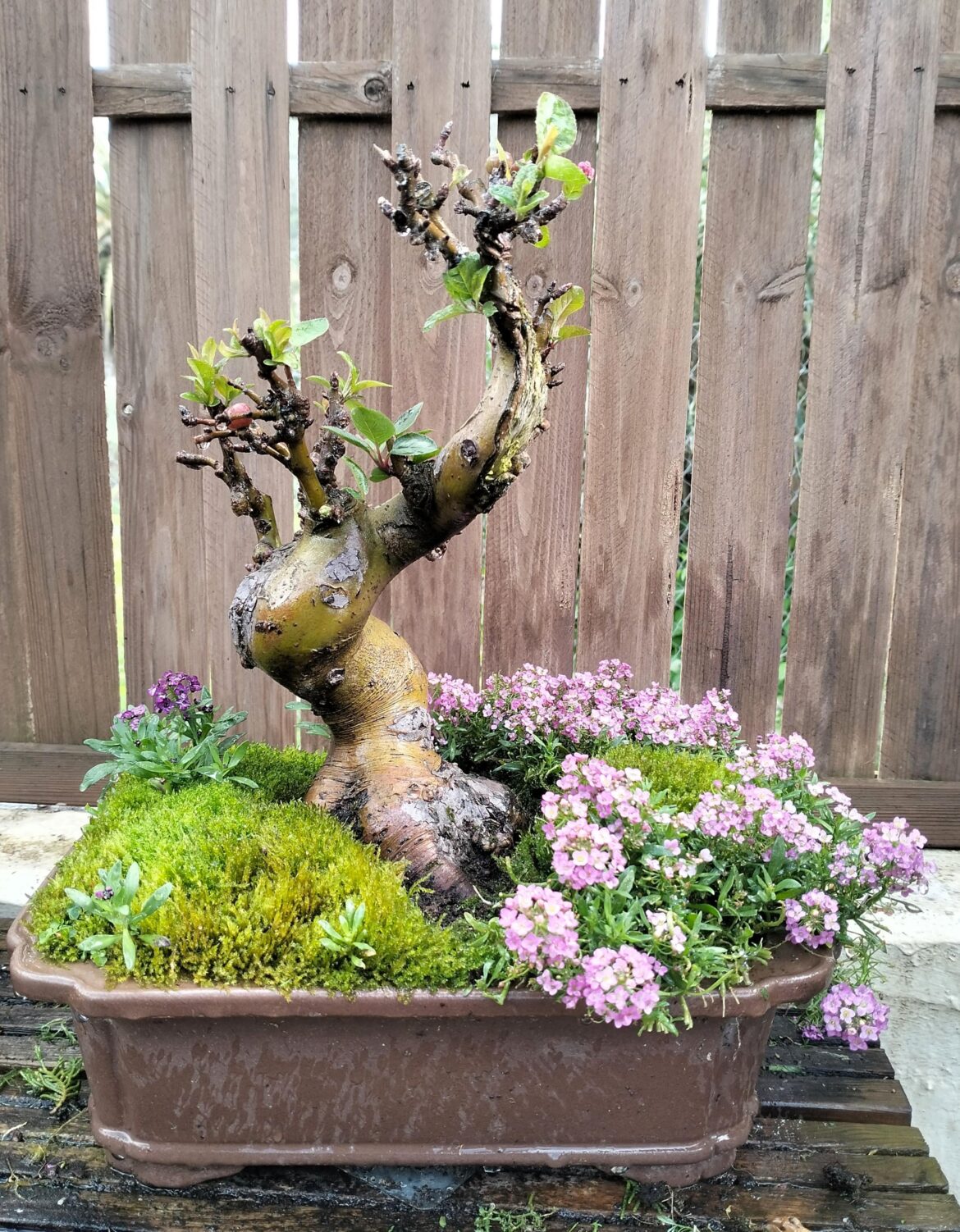 Promises of a great spring