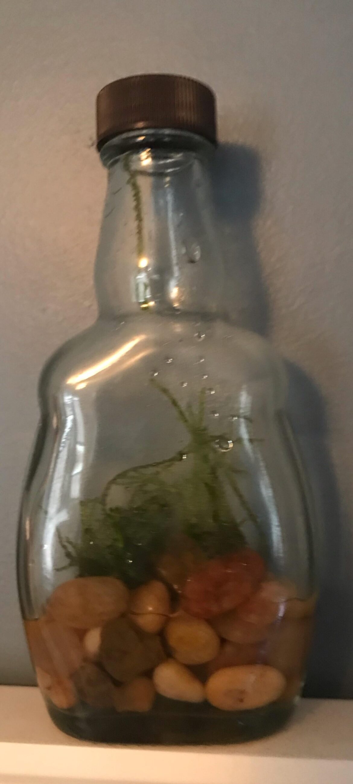 Not quite a jar but would this work? Not quite a jar but would this work?