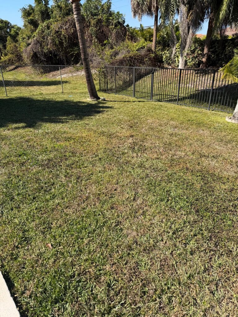 Zone 10b, how do I clear this out and switch to Bermuda?