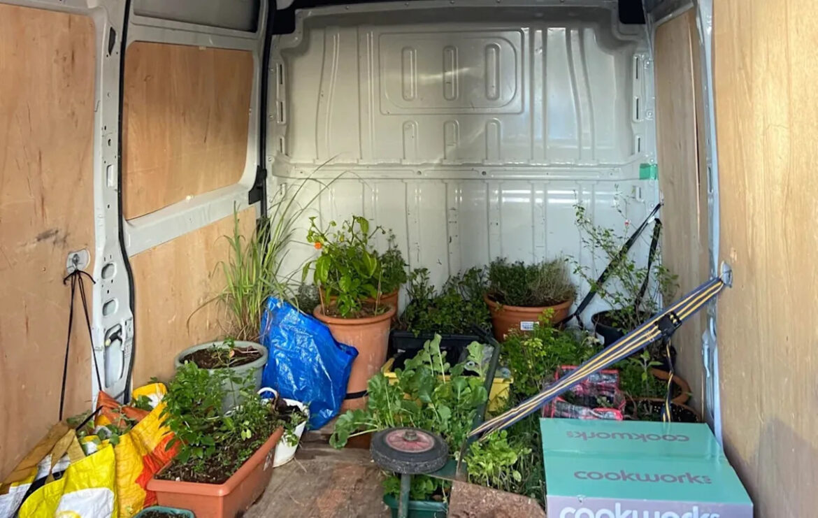 Gardener shares stunning photos after transforming patio area: ‘Seriously impressive’ Gardener shares stunning photos after transforming patio area: 'Seriously impressive'