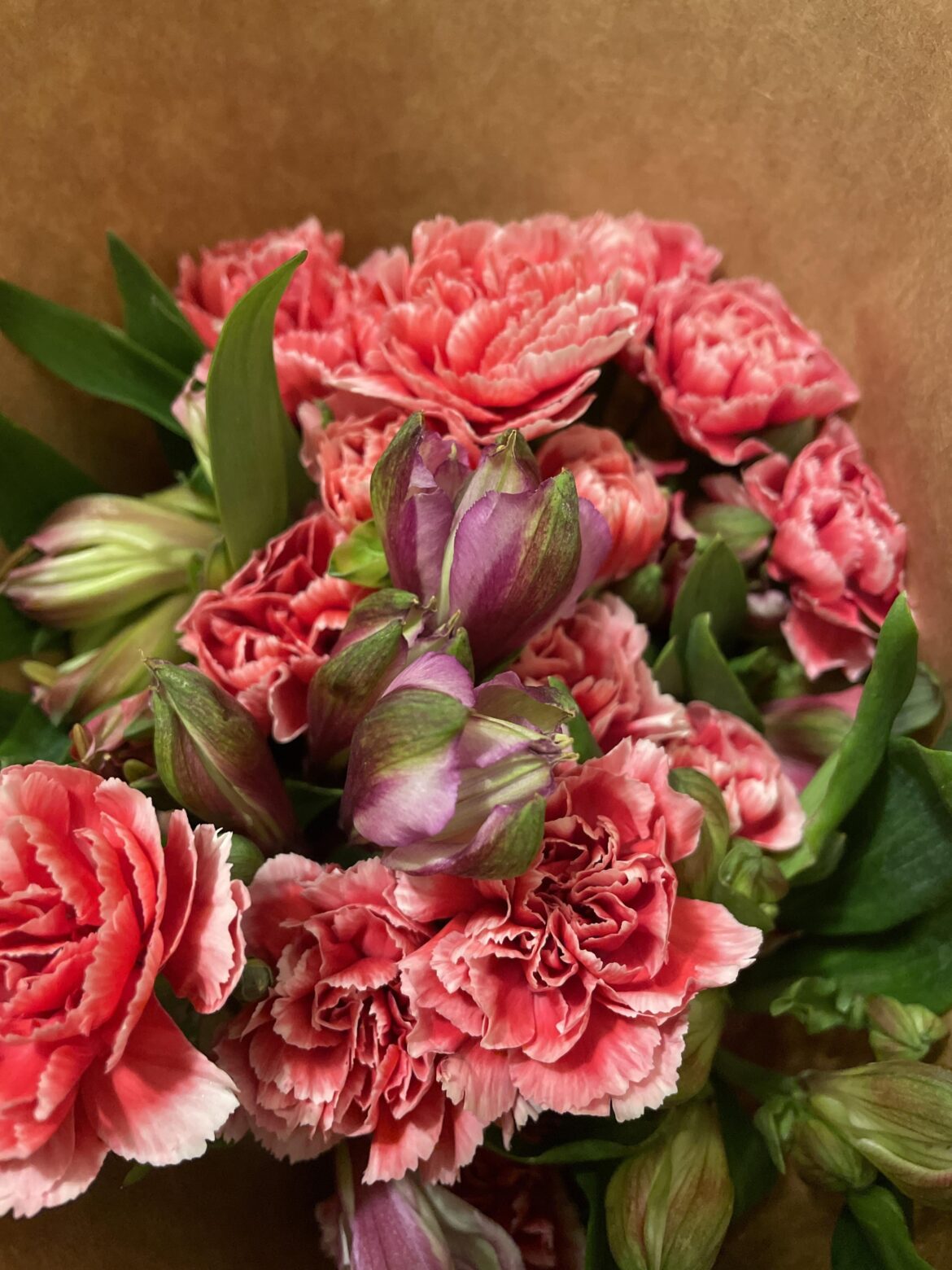 What are these flowers?