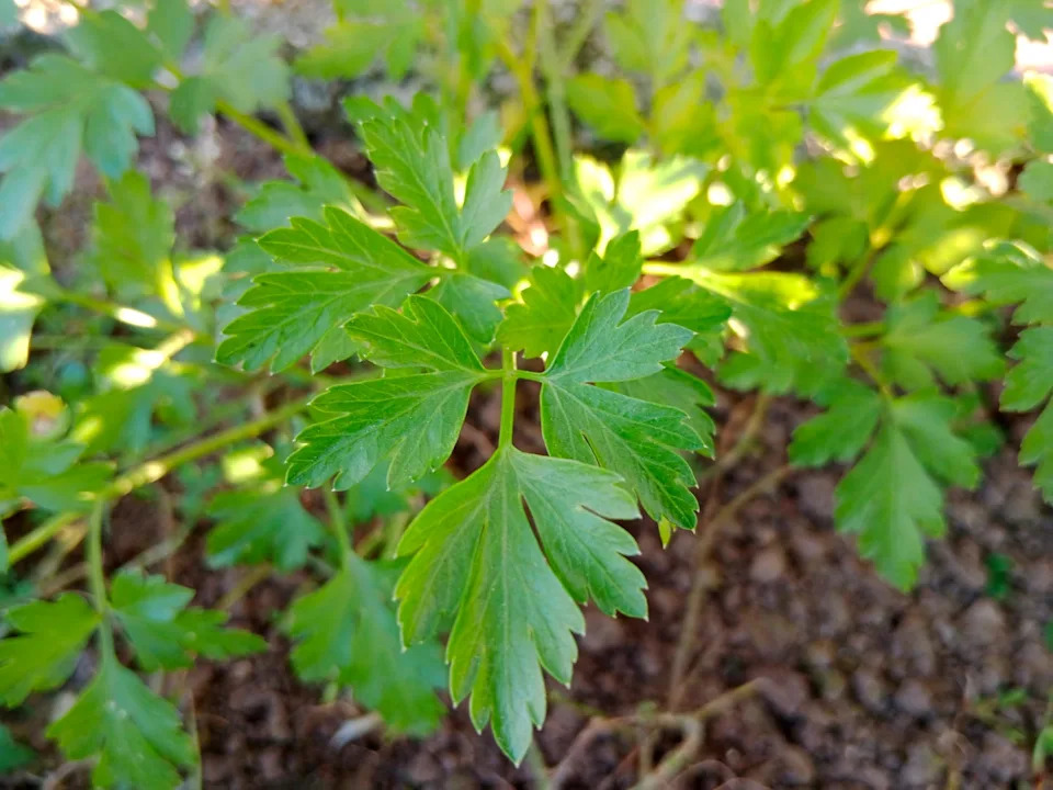 Photo credit: Fernando Trabanco Fotografía - Getty Images