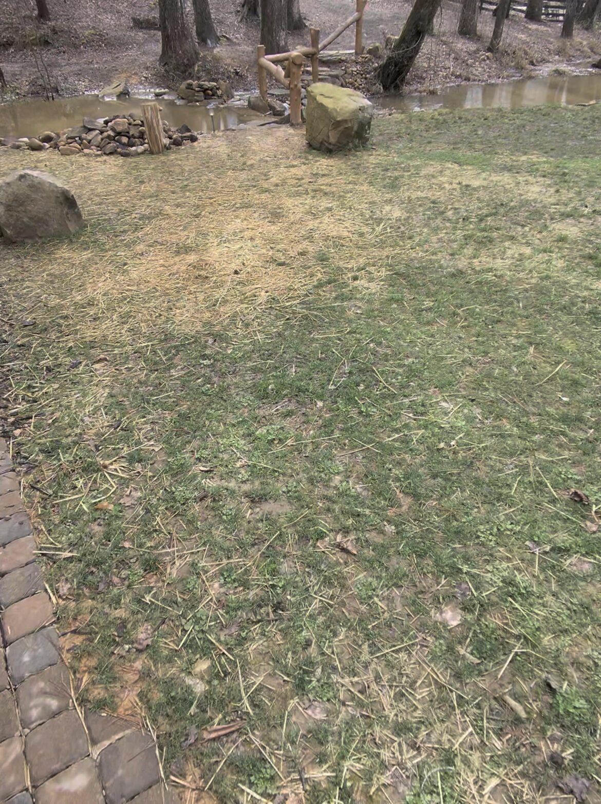 In-laws got chickens. Over the summer we built them a chicken run and converted a shed into a coop.