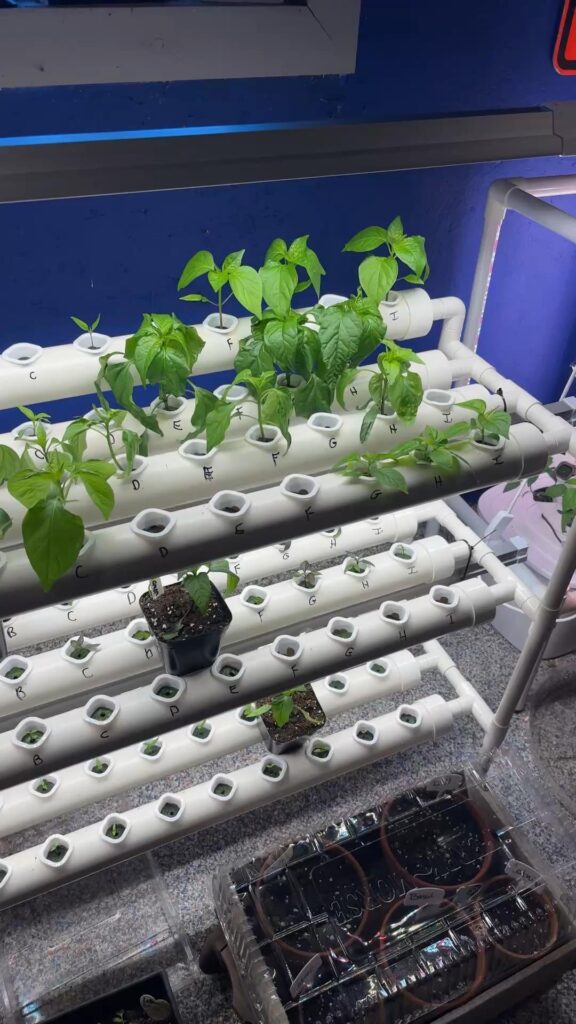 My hydroponic unit