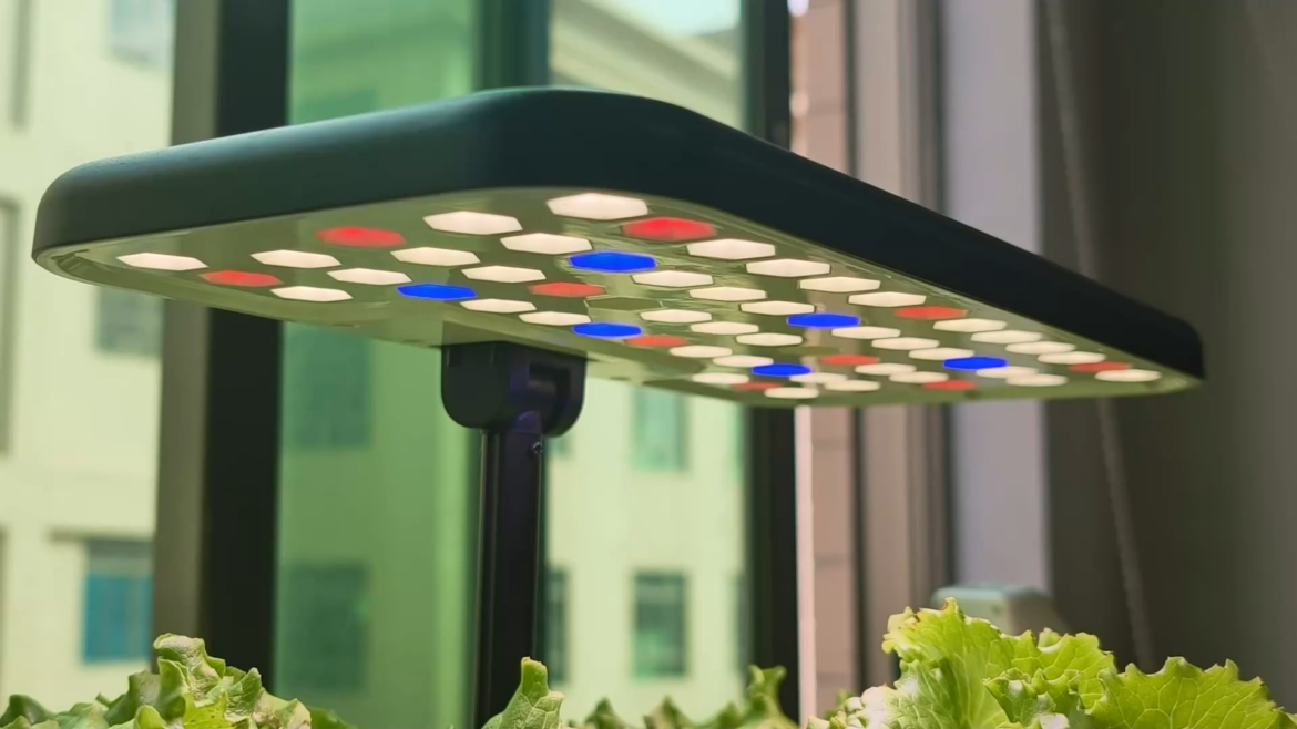 Sunlight + LED on a windowsill, but how do you know if plants actually get enough light in a day?