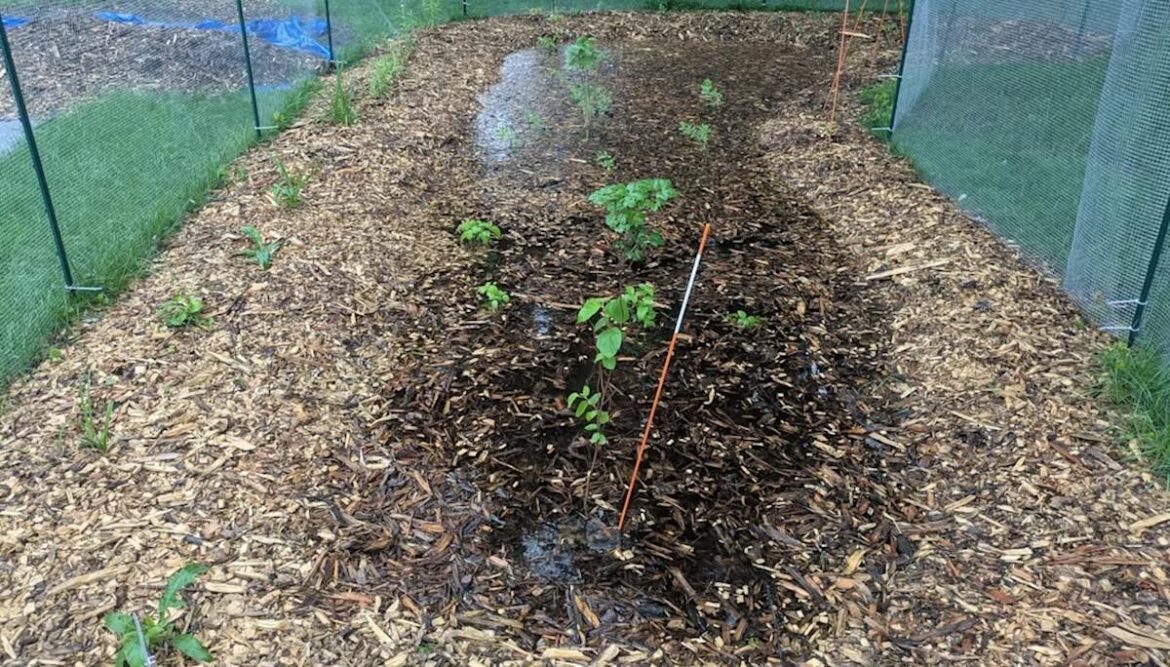 Homeowner shares photos of unconventional landscaping project: ‘This is huge’ Homeowner shares photos of unconventional landscaping project: 'This is huge'