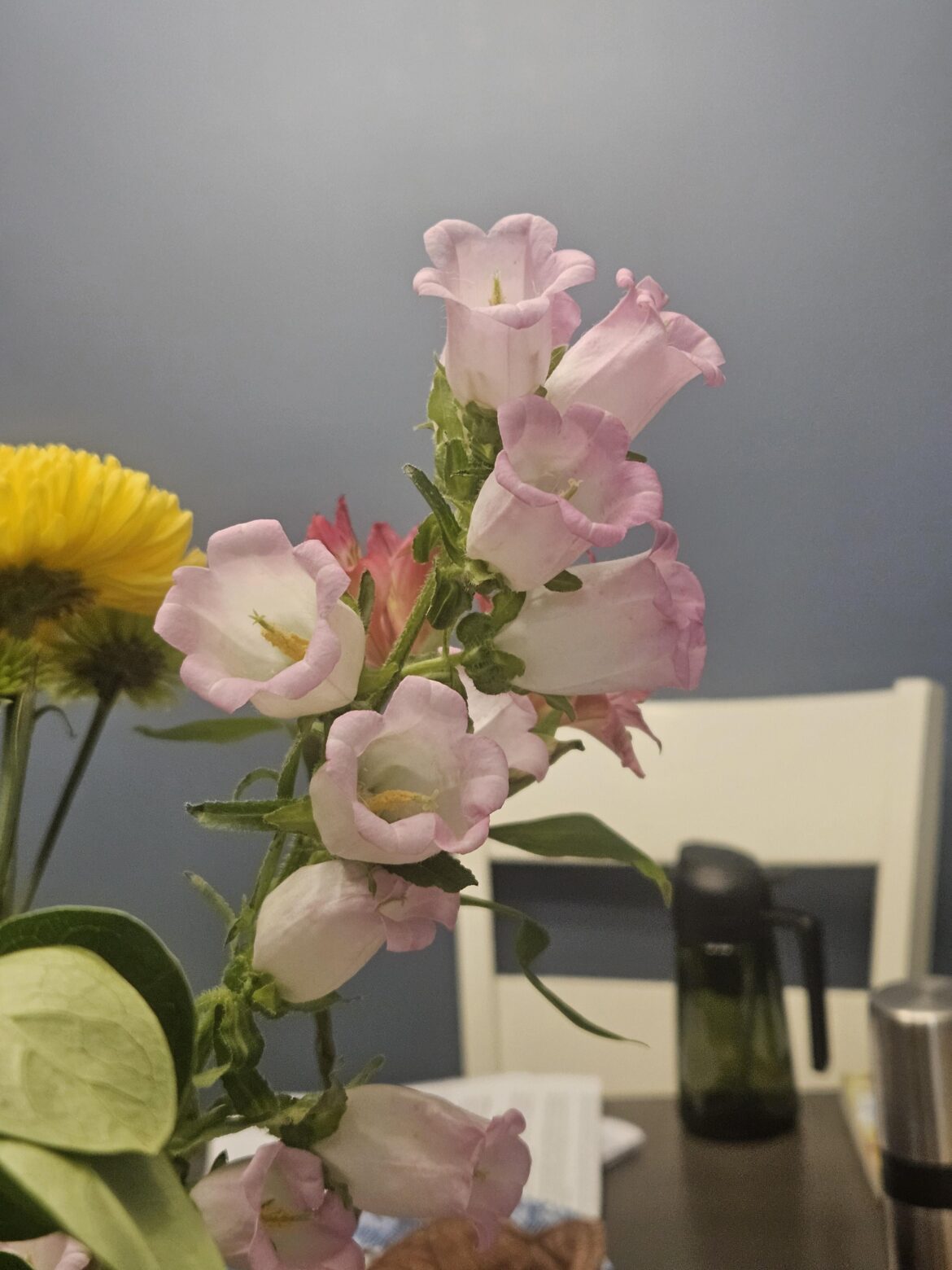 Flowers my mom was given