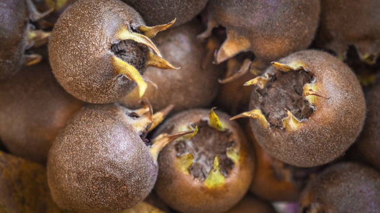 Closeup of medlar fruit