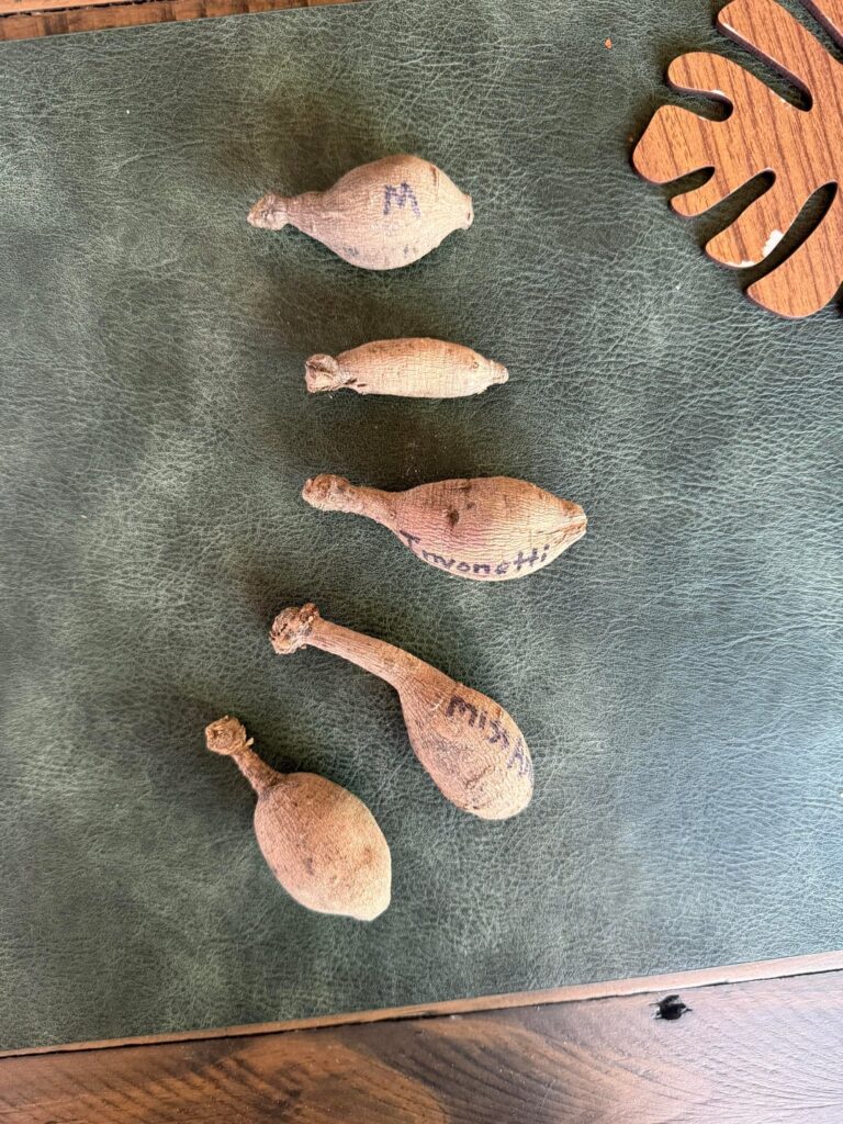 Help me identify eyes?