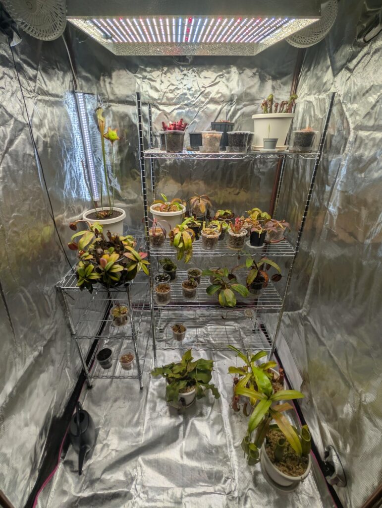 Grow Tent Pics