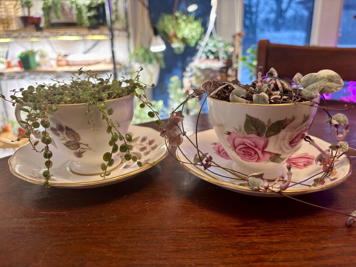 Tea for Two