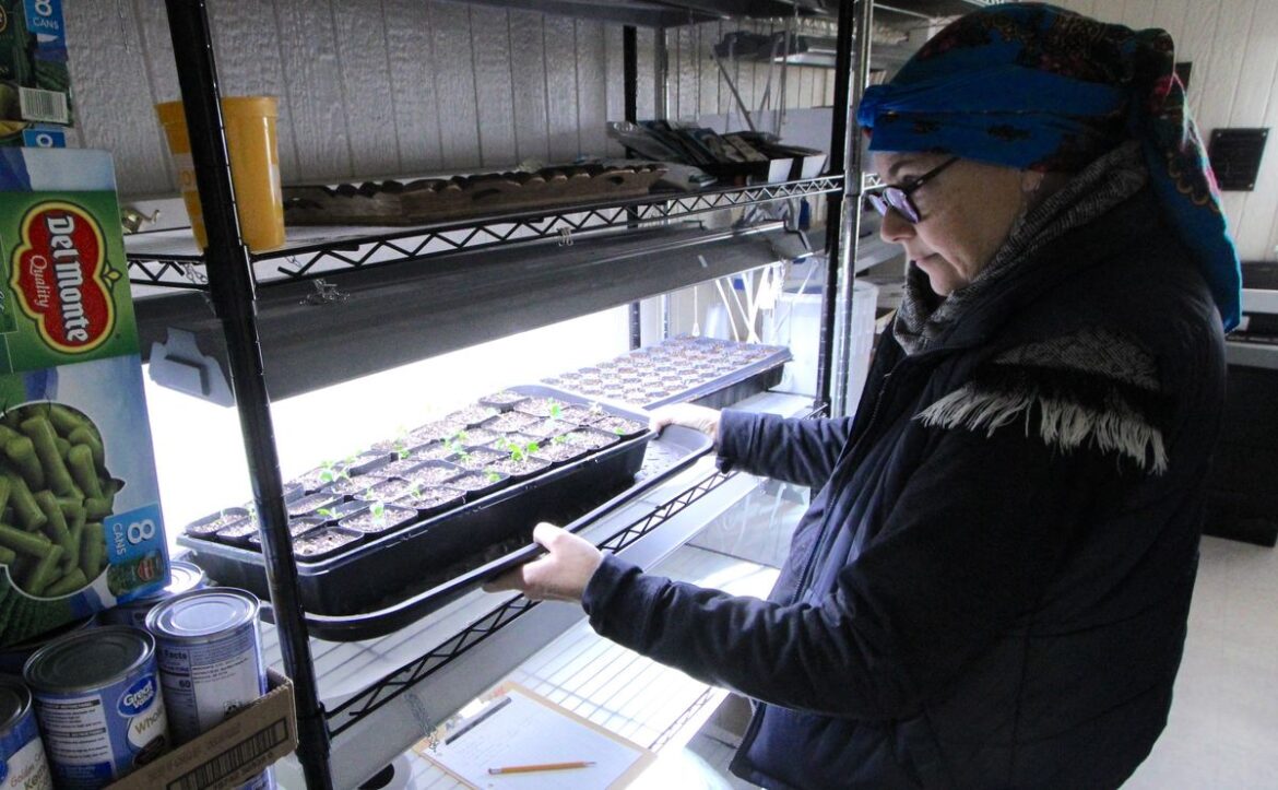 Seeds of Hope gets the garden going