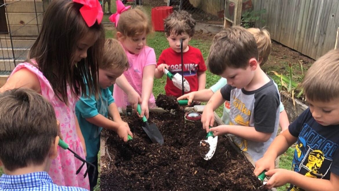 Extension seeks families for gardening program