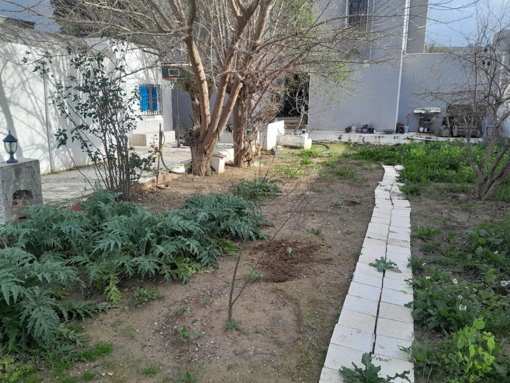 Can yall help me with this project