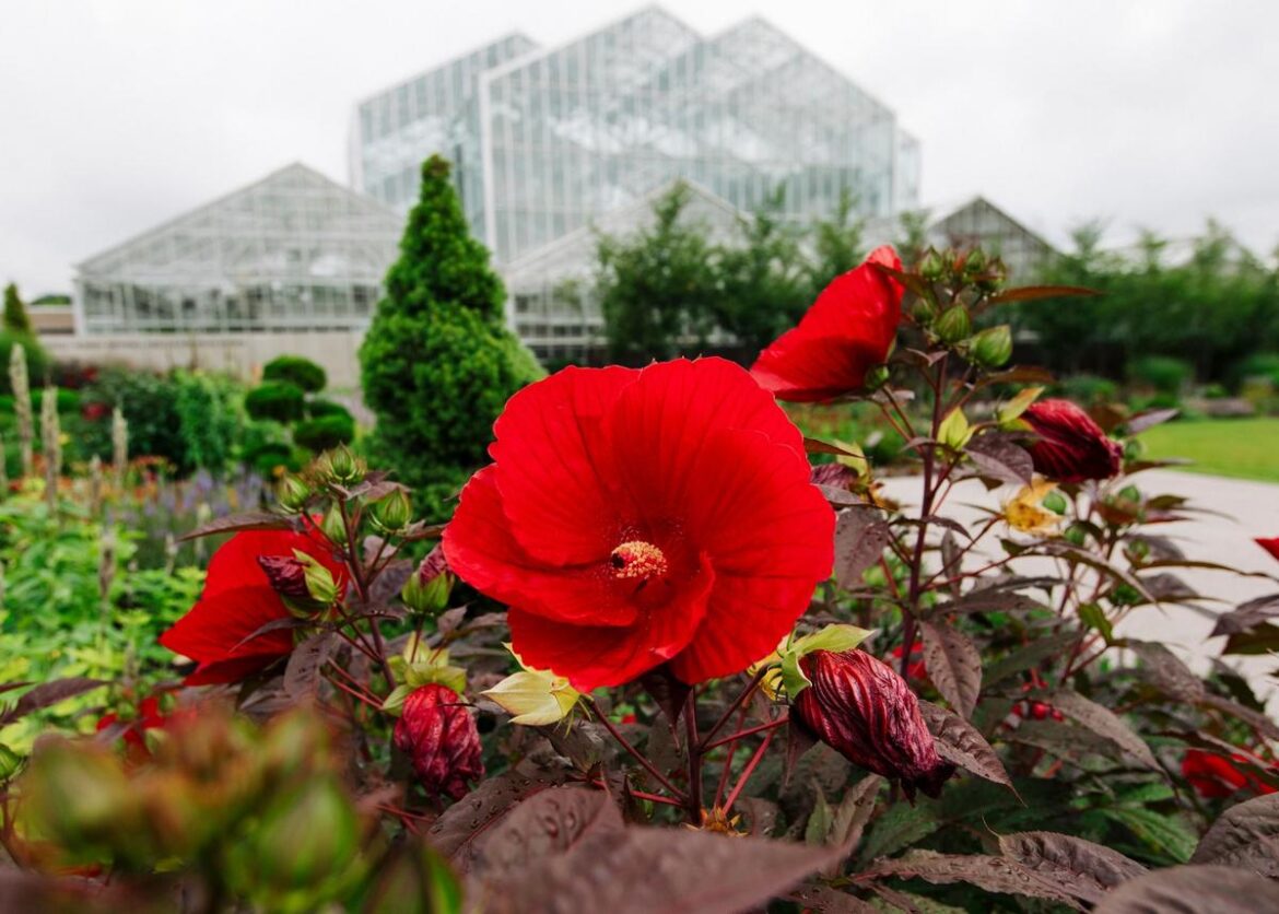 Vote for Frederik Meijer Gardens Best Botanical Garden