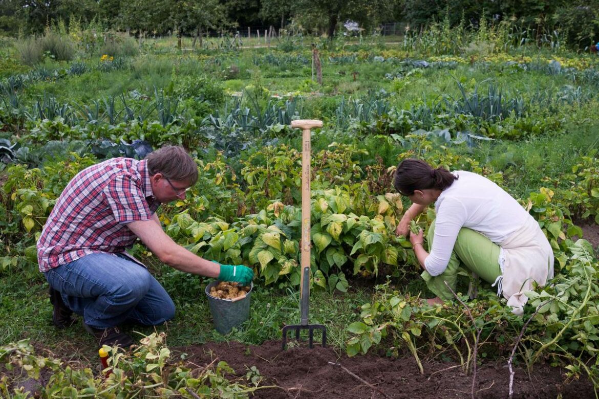 How To Prepare Your Garden For Spring In February