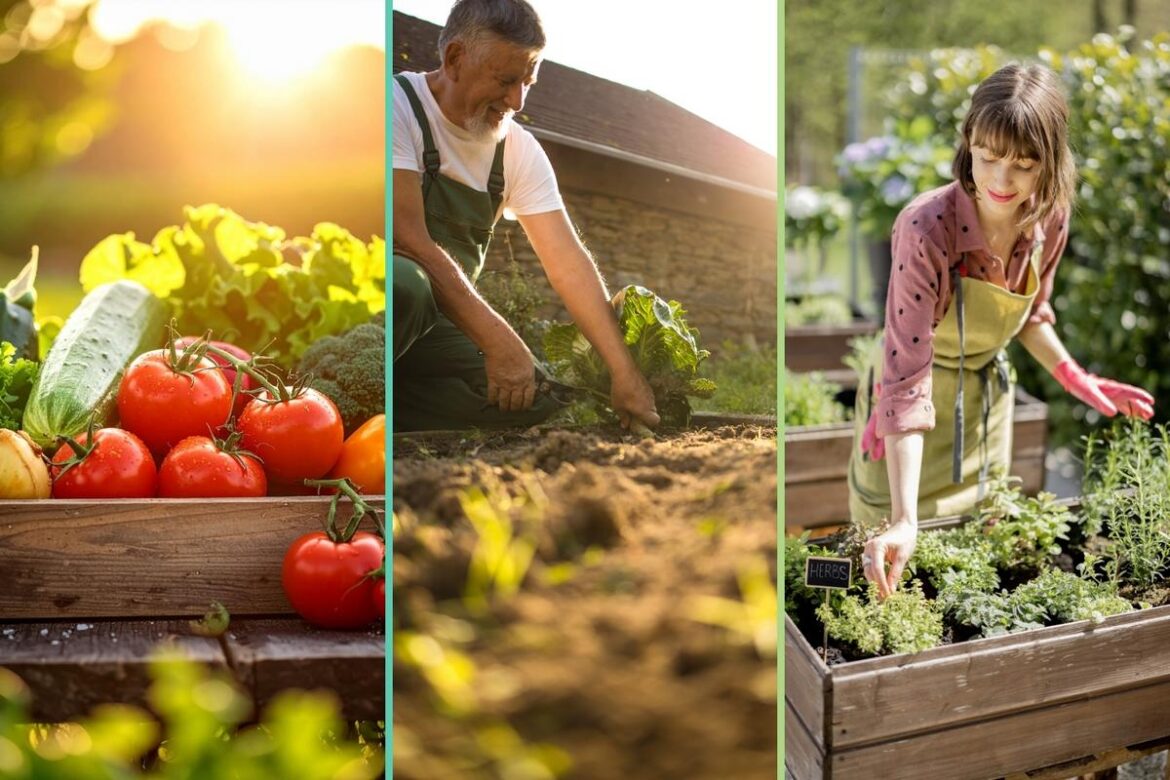 Bowie County Master Gardeners Host Organic Gardening Program Bowie County Master Gardeners Host Organic Gardening Program