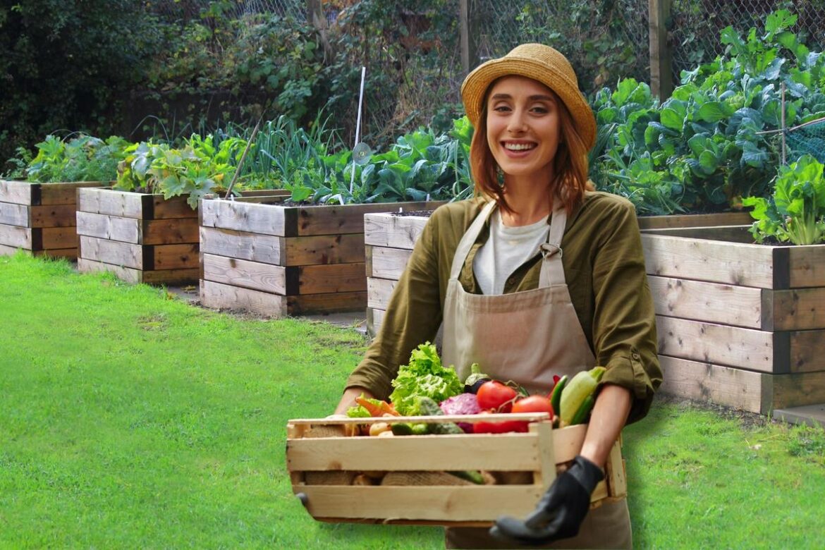 Free Garden Planning Seminar at Texas A&M-Texarkana Tonight