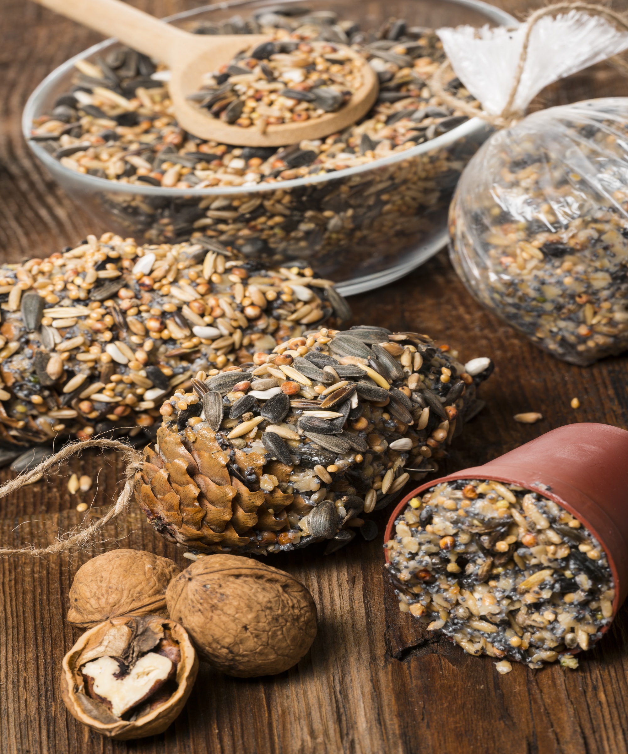 Pots and fir cones stuffed with seeds, nuts and fat to feed birds in winter