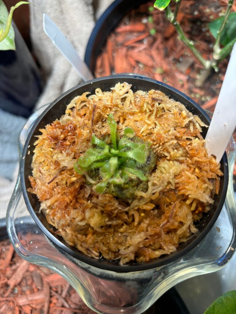 Amazing what three months and lots of love can do