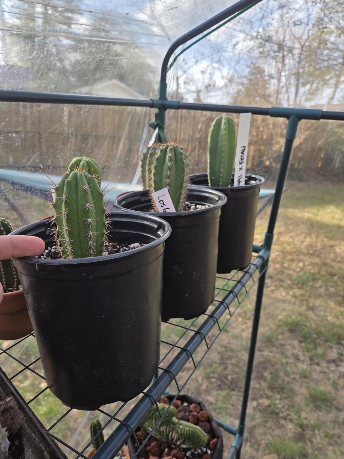 Pots wrong size/type?