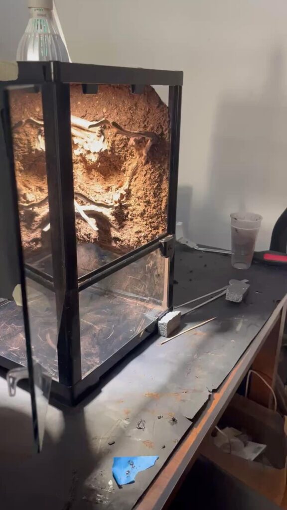 Question (How much would you offer for this) Question (How much would you offer for this)