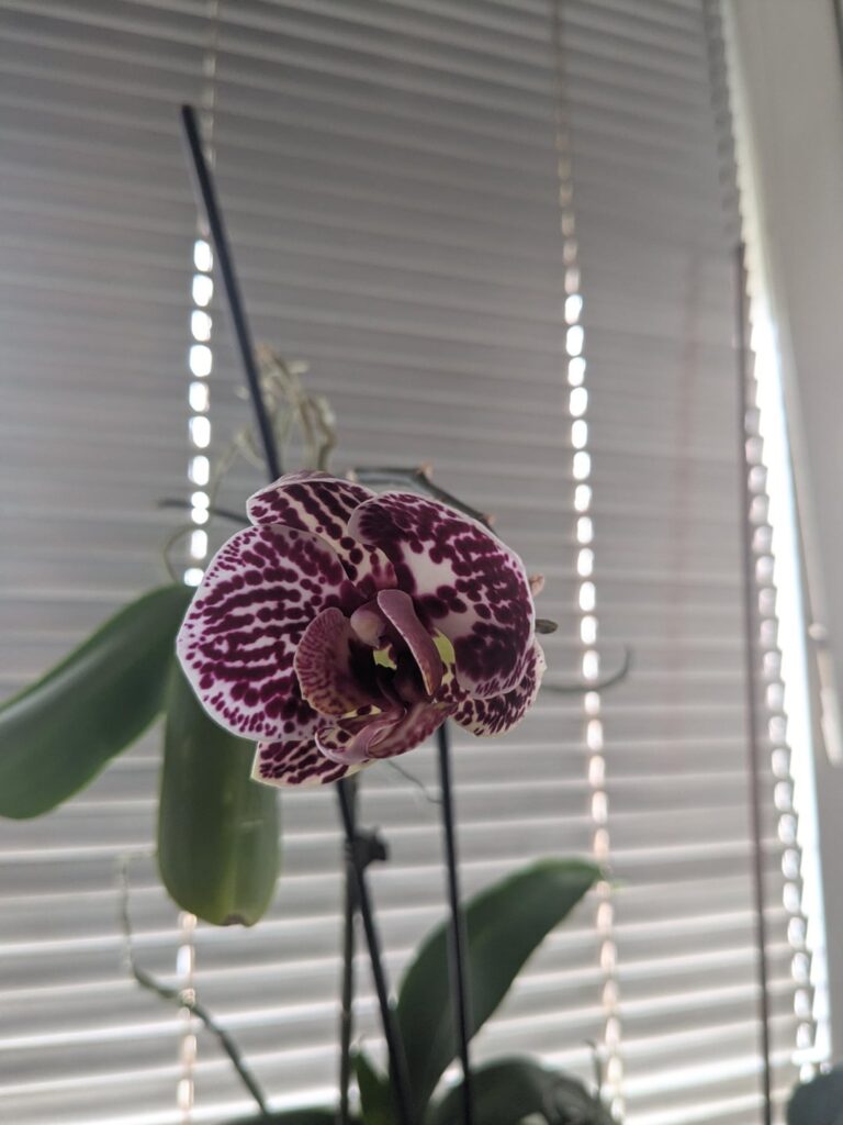 Good morning this morning! Good morning this morning!