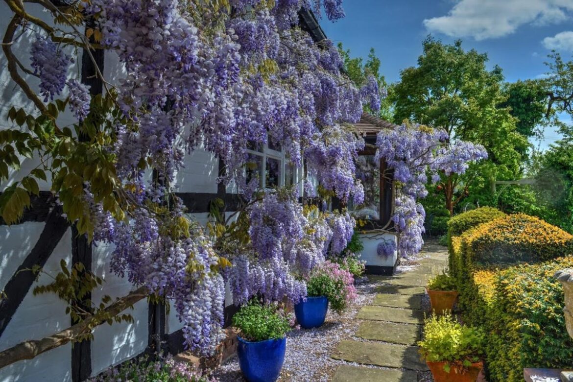 16 'hidden' gardens that you can visit in Worcestershire